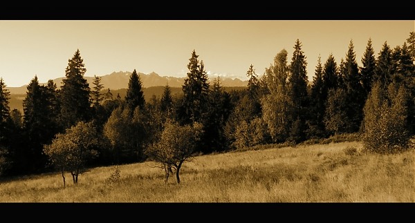 Tatry (i tszefa)